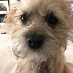 Meet your Posher, Claudia